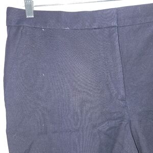 Navy Work Pants Ann Taylor 12